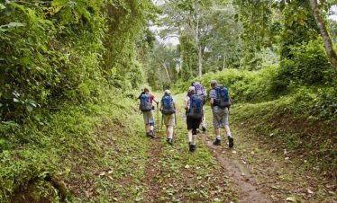 5 Days Marangu Route: The Classic Kilimanjaro Climb 6