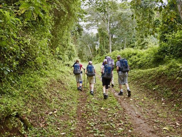 5 Days Marangu Route: The Classic Kilimanjaro Climb 6
