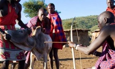3-Day Maasai Living Safari | Authentic Kilimanjaro Experience 6