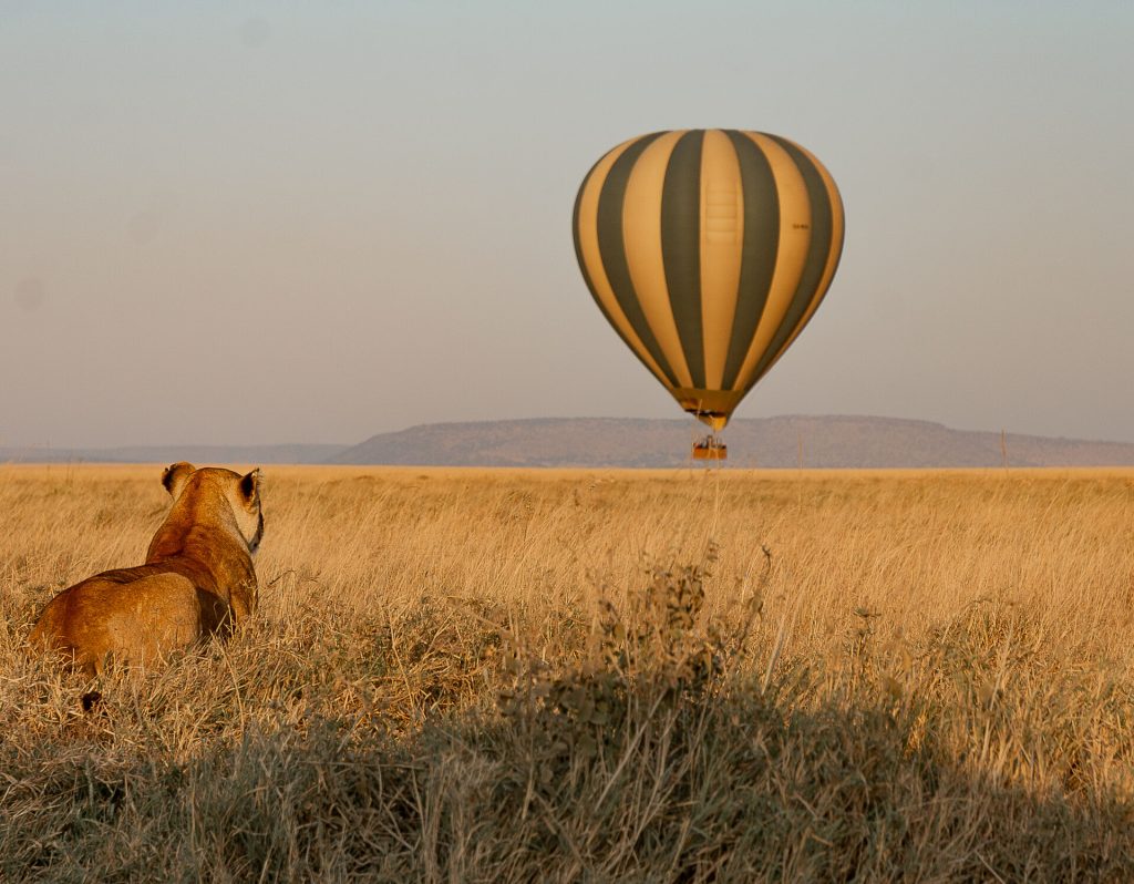 8-Day Serengeti Sunrise Balloon Safari