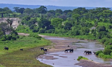 Best times to visit Tanzania for safari