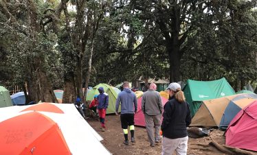 Lemosho 8-Day Trek: The Ultimate Path to Uhuru Peak Success 3 5