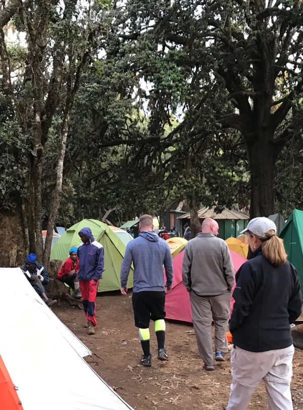 Lemosho 8-Day Trek: The Ultimate Path to Uhuru Peak Success 3 5