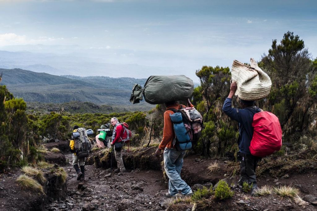 Lemosho 8-Day Trek: The Ultimate Path to Uhuru Peak Success 3 5