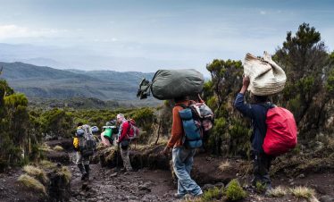 Lemosho 8-Day Trek: The Ultimate Path to Uhuru Peak Success 3 5
