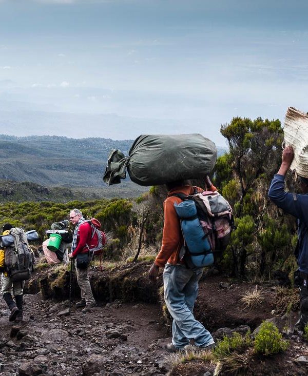 Lemosho 8-Day Trek: The Ultimate Path to Uhuru Peak Success 3 5