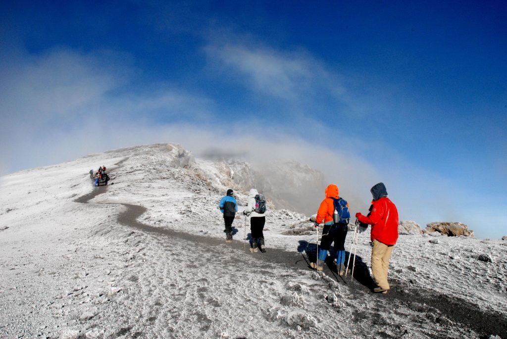 Lemosho 8-Day Trek: The Ultimate Path to Uhuru Peak Success 3
