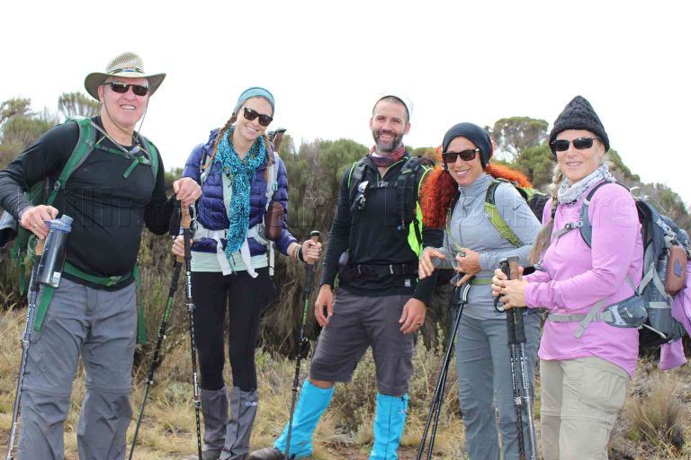 Machame vs. Lemosho: Which Kilimanjaro Route is Best for You?