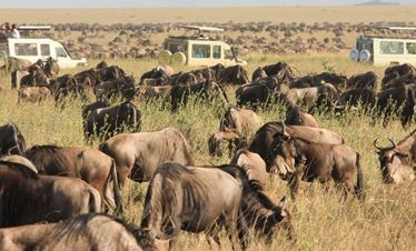 6-Day North Serengeti Migration & Balloon Safari | 2026 Elite d