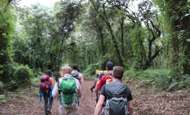 A group of hikers with colorful backpacks trek along a leafy forest trail under a dense green canopy, sunlight filtering through vines creating a vibrant nature scene.