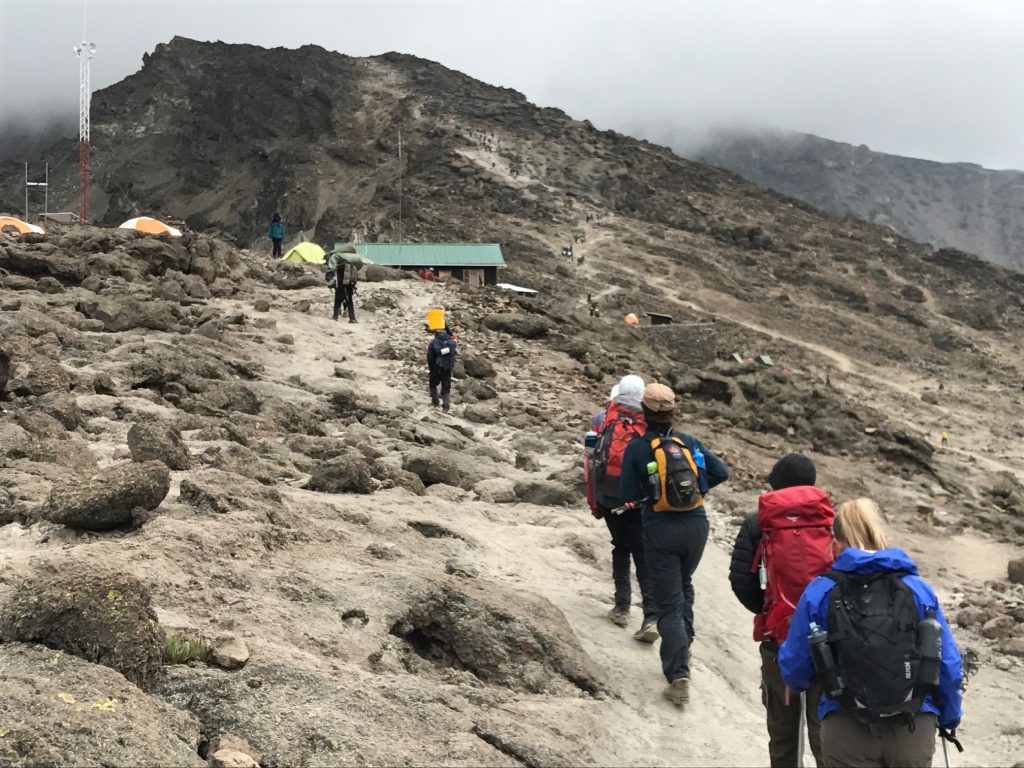 6 Days Machame Route with Climb Kilimanjaro and Tanzania Safaris 4