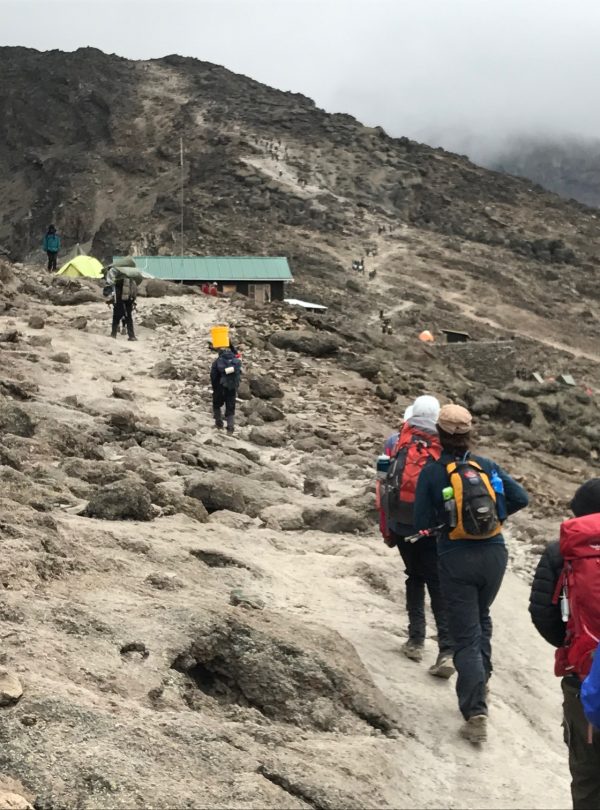 6 Days Machame Route with Climb Kilimanjaro and Tanzania Safaris 4
