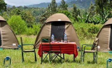 2-Day Tanzania Safari: Tarangire & Ngorongoro Crater