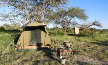 6-Day Tanzania Wild Soul Safari: Real Camping, No Filters!