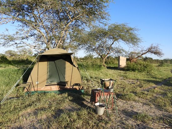 6-Day Tanzania Wild Soul Safari: Real Camping, No Filters!