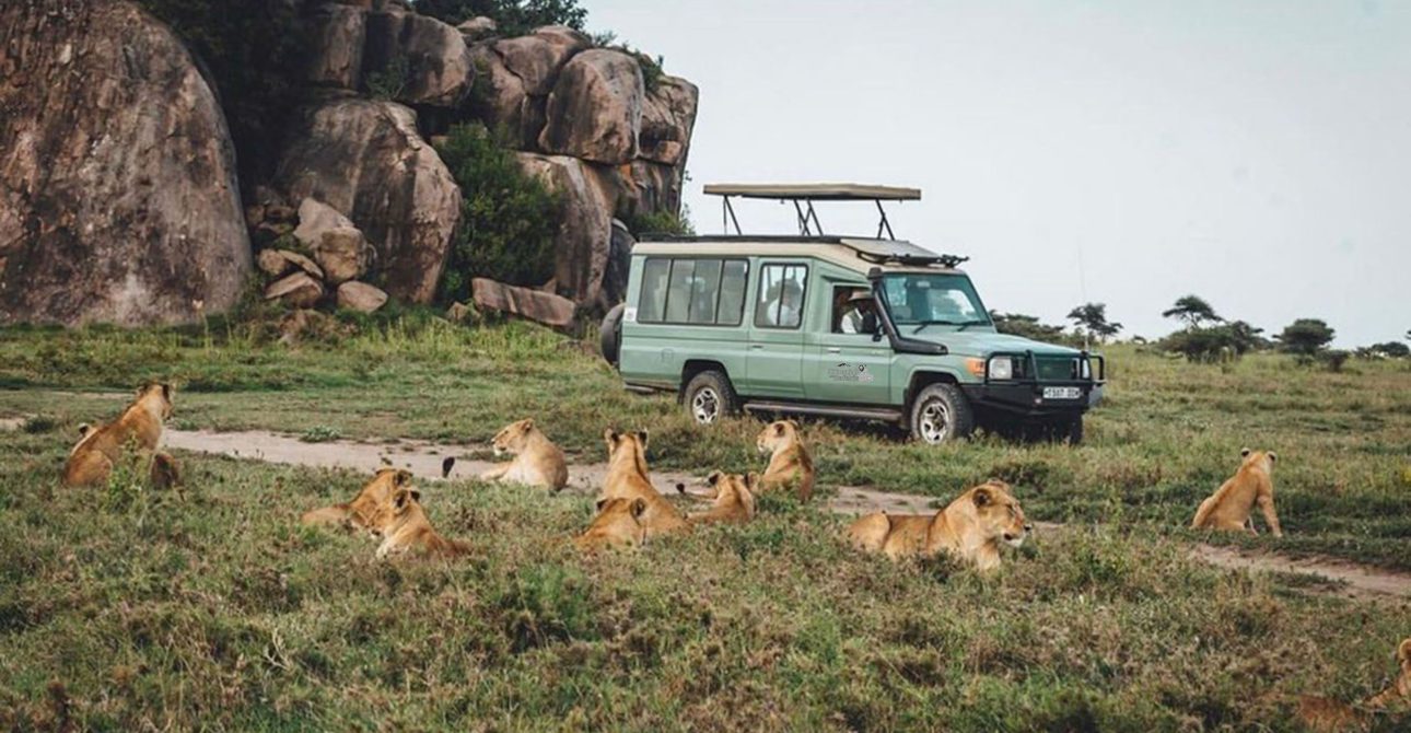 Serengeti Safari & Zanzibar Beach: The Ultimate 11-Day Tanzania Itinerary