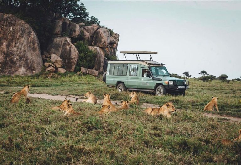 Serengeti Safari & Zanzibar Beach: The Ultimate 11-Day Tanzania Itinerary