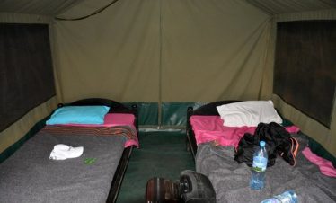 haven-nature-camp-and 6-Day Tanzania Wild Soul Safari: Real Camping, No Filters!