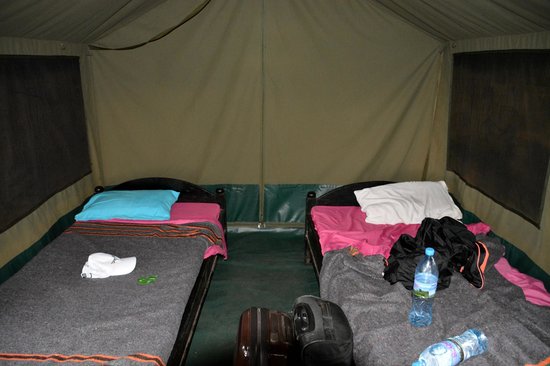 haven-nature-camp-and 6-Day Tanzania Wild Soul Safari: Real Camping, No Filters!
