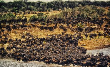 6-Day North Serengeti Migration & Balloon Safari | 2026 Elite 1c