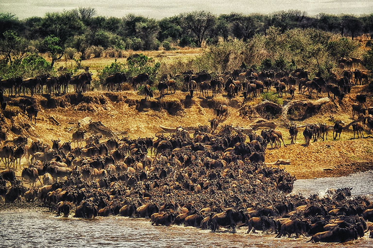 6-Day North Serengeti Migration & Balloon Safari | 2026 Elite 1c