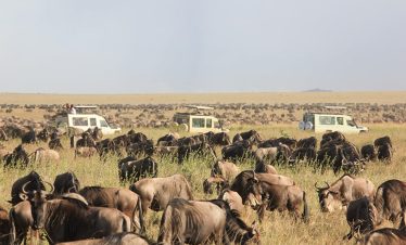 6-Day North Serengeti Migration & Balloon Safari | 2026 Elite a