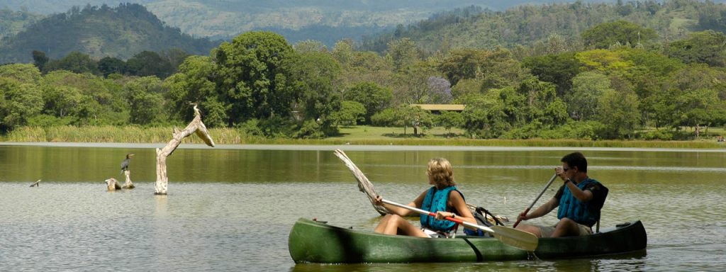 Two people wearing blue life jackets paddle a dark green canoe on a serene lake, surrounded by dense green trees and distant hills, capturing a tranquil outdoor scene.