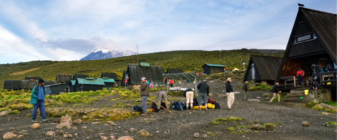 Best Time to Climb Kilimanjaro: The Ultimate 2026 Month-by-Month Guide