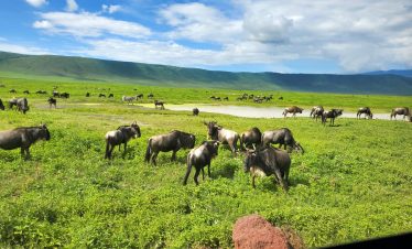 3-Day Serengeti and Ngorongoro Budget camping safari 5