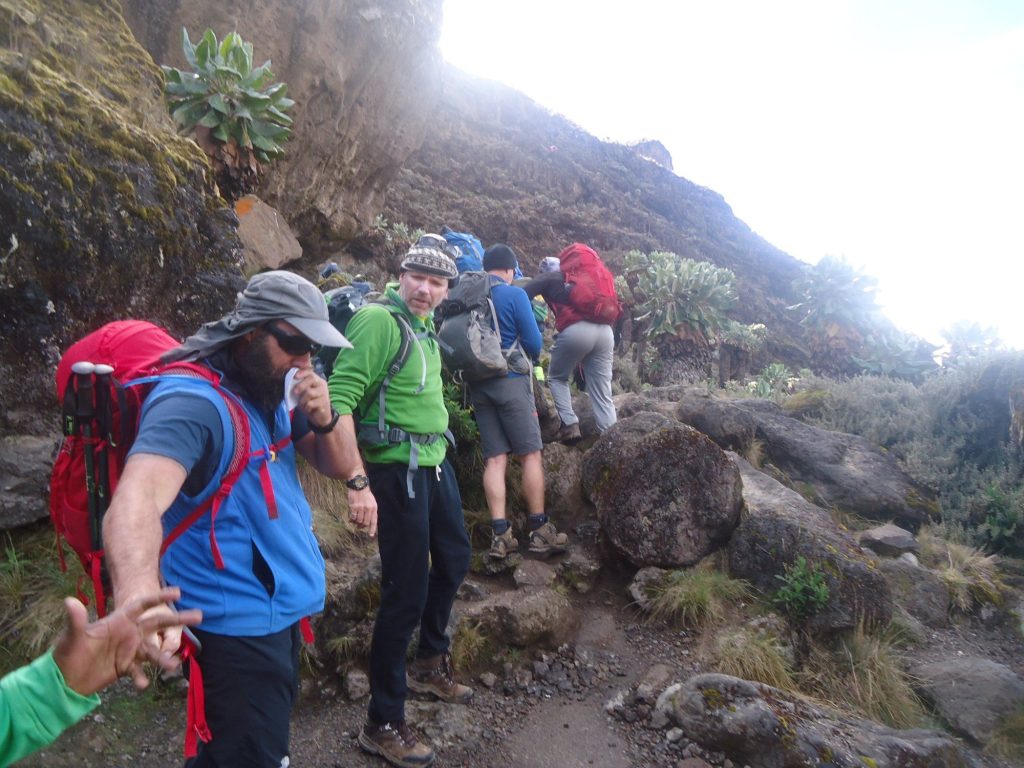 7-Day Lemosho Route Kilimanjaro Success