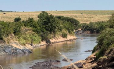 4-Day Tarangire, Serengeti & Ngorongoro Budget camping safari c
