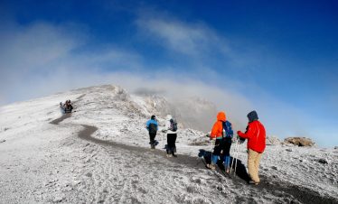 7-Day Lemosho Route Kilimanjaro Success 7