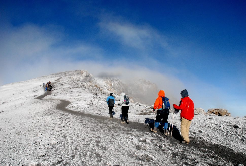 7-Day Lemosho Route Kilimanjaro Success 7