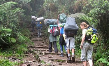 7-Day Lemosho Route Kilimanjaro Success 4