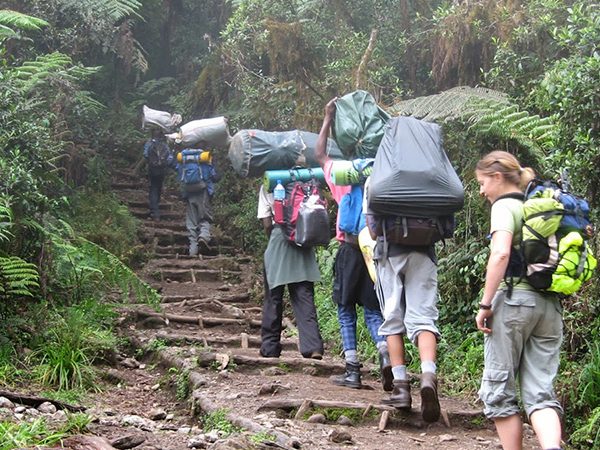 7-Day Lemosho Route Kilimanjaro Success 4