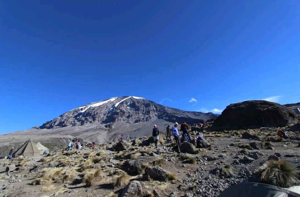 Conquer Kilimanjaro: 6 Days of Untamed Wilderness on the Rongai Route
