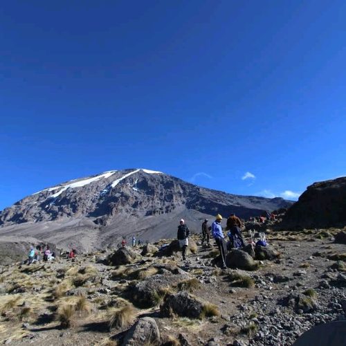 Conquer Kilimanjaro: 6 Days of Untamed Wilderness on the Rongai Route