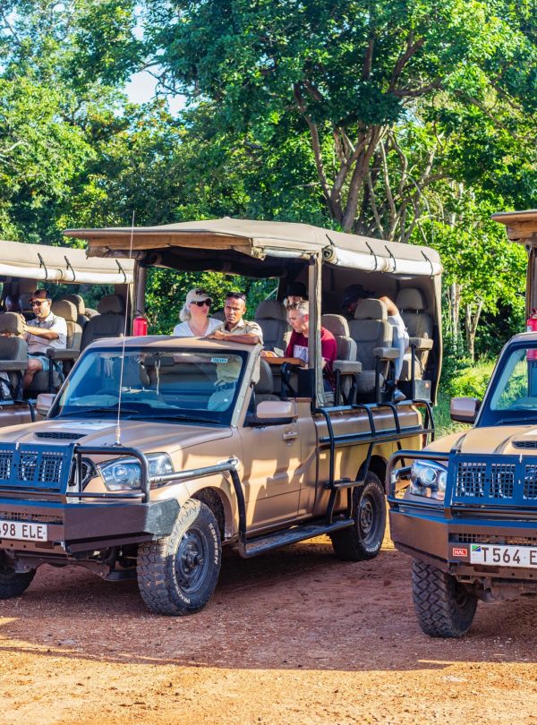 Safari de 4 días por Zanzíbar y Selous