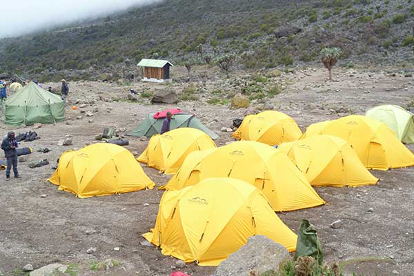 10 Days Kilimanjaro Northern Circuit: Ultimate Scenic Trek