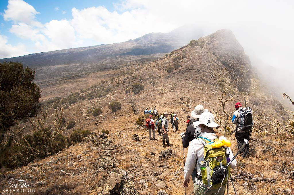 10 Days Kilimanjaro Northern Circuit: Ultimate Scenic Trek