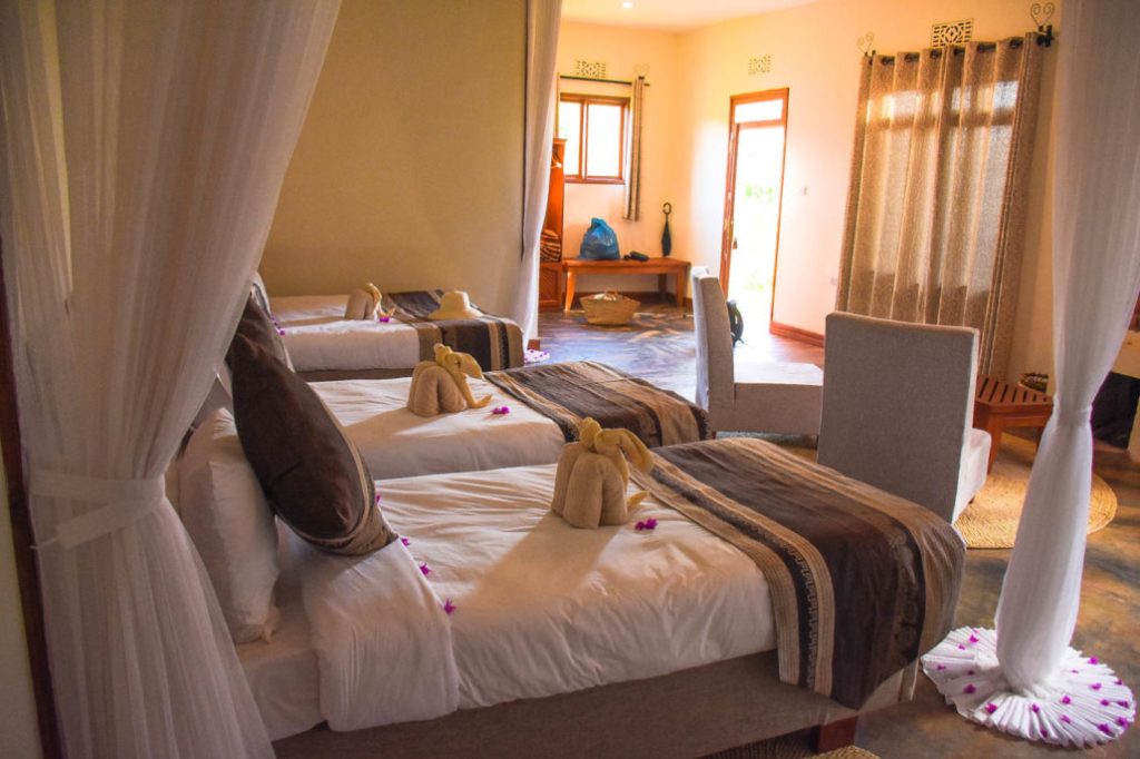 Luxury 2-Day Tarangire & Ngorongoro Safari.