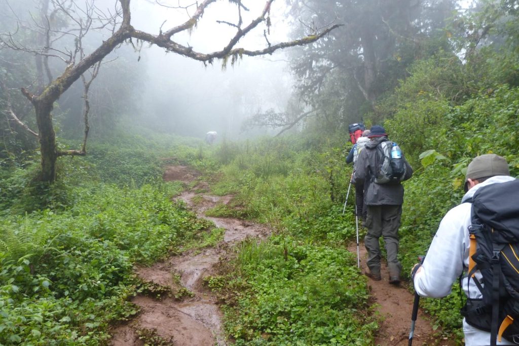 10 Days Kilimanjaro Northern Circuit: Ultimate Scenic Trek