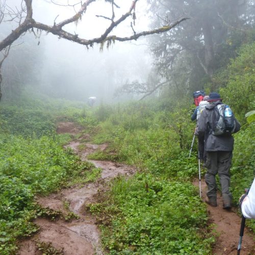 10天乞力马扎罗山北部环线：终极风景徒步