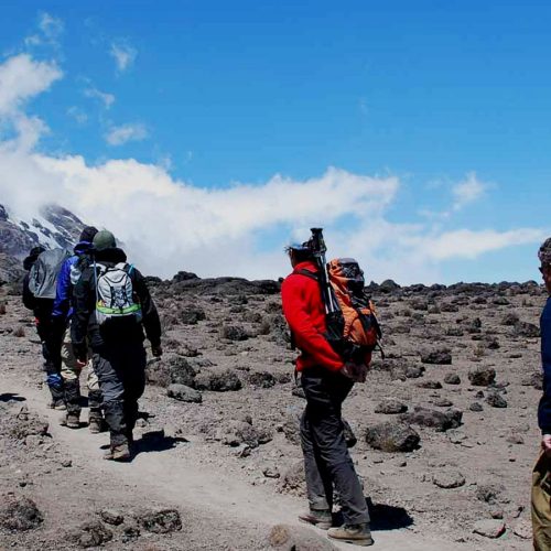 7 Days Kilimanjaro Rongai Route: Ultimate Northern Trek