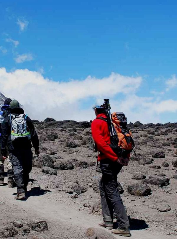 7 Days Kilimanjaro Rongai Route: Ultimate Northern Trek