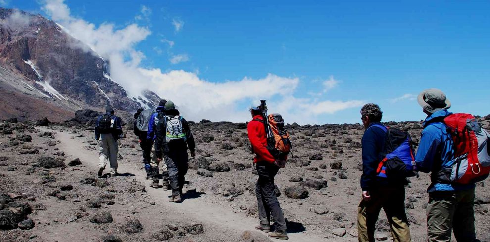 7 Days Kilimanjaro Rongai Route: Ultimate Northern Trek