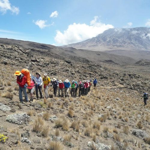 7 Days Kilimanjaro Rongai Route: Ultimate Northern Trek