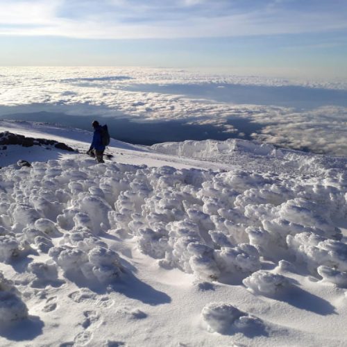 7 Days Kilimanjaro Rongai Route: Ultimate Northern Trek