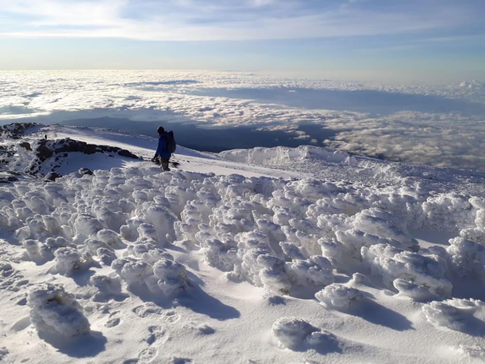 7 Days Kilimanjaro Rongai Route: Ultimate Northern Trek
