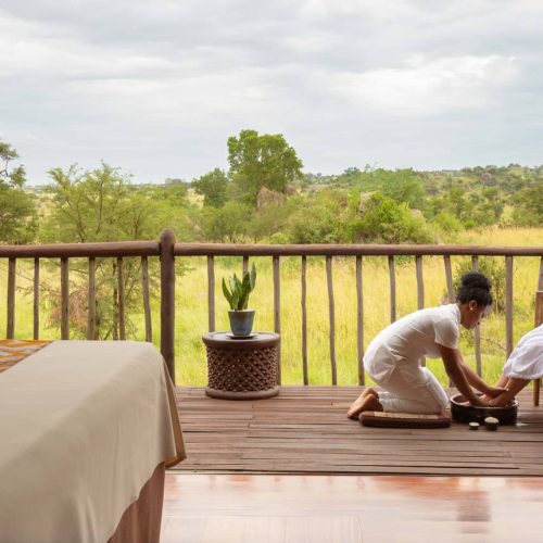 12-Day Solo Private Luxury Flying-in Kenya, Tanzania Safari and Diani Beach Zanzibar